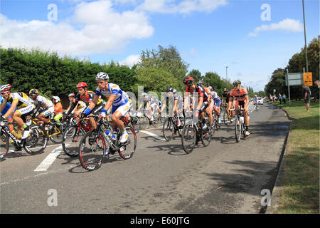 Dunmurry, Surrey, UK. 10 août, 2014. Prudential RideLondon-Surrey Classic. Peloton. 147 cyclistes professionnels ont pris part à l'événement qui s'étend sur 125 kilomètres et surtout suit l'itinéraire utilisé dans la course sur route olympique de Londres 2012. Crédit : Ian bouteille/Alamy Live News Banque D'Images