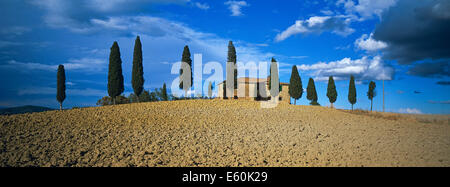 Italie, Toscane, province de Sienne, paysage de Crète Banque D'Images