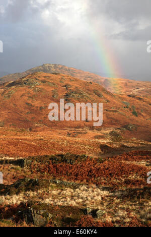 Un arc-en-ciel d'automne plus de Blawith Knott, près de Coniston Water dans le Lake District National Park Banque D'Images