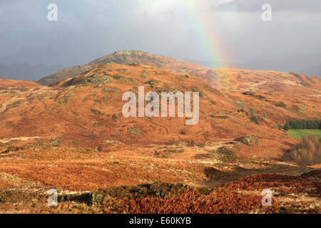 Un arc-en-ciel d'automne plus de Blawith Knott, près de Coniston Water dans le Lake District National Park Banque D'Images