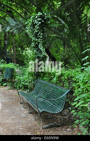 Banc vert et de végétation luxuriante au jardin botanique national parc public à Athènes, Grèce. Banque D'Images