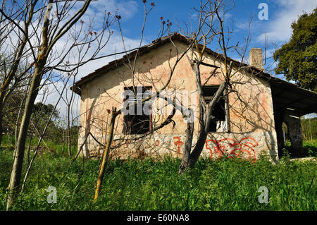 Maison abandonnée dans les bois et envahi par les plantes. Banque D'Images