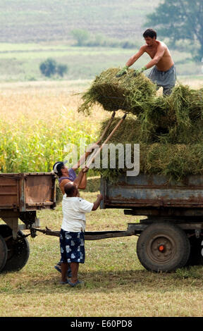 Montagnes Strandja Bulgarie 10 Août 2014 : les agriculteurs cette pile ans récolte en ballots de paille, des pluies torrentielles et la grêle ont entraîné une hausse des prix dans certaines zones de 50 à 100 pour cent. Credit : Clifford Norton/Alamy Live News Banque D'Images