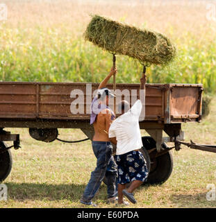 Montagnes Strandja Bulgarie 10 Août 2014 : les agriculteurs cette pile ans récolte en ballots de paille, des pluies torrentielles et la grêle ont entraîné une hausse des prix dans certaines zones de 50 à 100 pour cent. Credit : Clifford Norton/Alamy Live News Banque D'Images