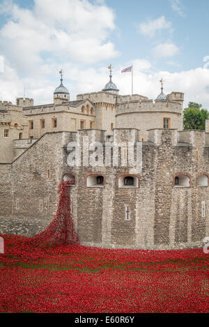 Tour de Londres avec les coquelicots et la fenêtre de weeping Banque D'Images