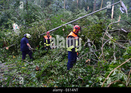 Bad Schwalbach, Allemagne. 10e Août, 2014. Les pompiers travaillent à l'élimination des arbres tombés dans les rues près de Bad Schwalbach, Allemagne, 10 août 2014. Une tornade avec une tempête de pluie a causé des dommages dans les millions dans le centre de bien-être. De nombreux véhicules ont été endommagés, toits de maisons et détruit les zones forestières. Photo : Boris Roessler/dpa/Alamy Live News Banque D'Images