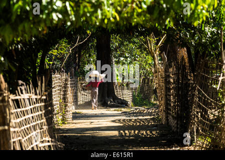 Femme de l'ethnie Chin, minorité ethnique, portant une charge sur la tête, l'État de Rakhine, au Myanmar Banque D'Images