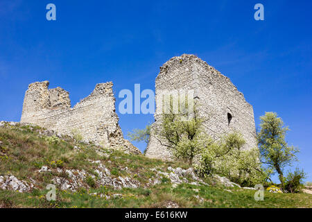 Les ruines de château Sirotčí Hrádek, Palava Région, district, région Jihomoravsky à Breclav, République Tchèque Banque D'Images