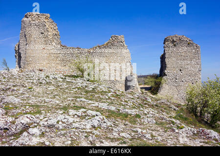 Les ruines de château Sirotčí Hrádek, Palava Région, district, région Jihomoravsky à Breclav, République Tchèque Banque D'Images