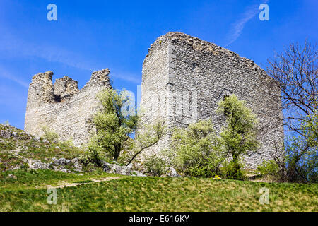 Les ruines du château Sirotčí Hrádek, Palava Région, district, région Jihomoravsky à Breclav Banque D'Images