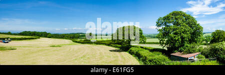 L'été à Devon, panorama d'un paysage typique de Devon Banque D'Images