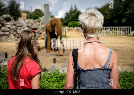 Les gens observant les animaux dans un zoo. Banque D'Images