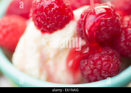 Framboises biologiques sur la vanille glace nappée de sirop de framboise Banque D'Images