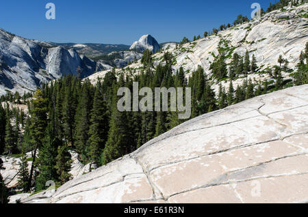 Vue depuis le massif granitique d'Olmsted Point vers Demi Dôme, Yosemite NP Banque D'Images