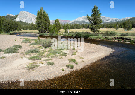 La rivière Tuolumne avec Lembert Dome, Tuolumne Meadows, Yosemite NP Banque D'Images