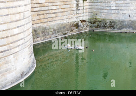 NANTES, FRANCE - 25 juillet 2014 : douves du château des Ducs de Bretagne à Nantes, France. Le château a servi de centre de Banque D'Images