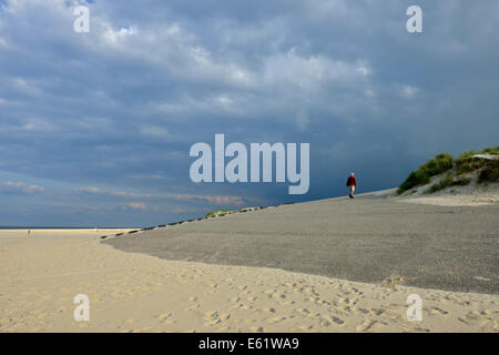 Plage de sable fin, l'île de Texel, à l'ouest de l'archipel Frison, Pays-Bas Banque D'Images