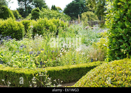 ANGERS, FRANCE - 28 juillet 2014 : jardin botanique avec medicative herbes dans Angers Château, France. Château d'Angers a été fo Banque D'Images