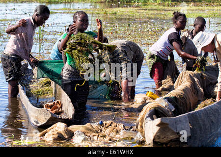 La pêche est une activité économique principale pour les familles vivant dans et autour des zones humides, de la Zambie, Bangweulu y compris pour ces enfants. Banque D'Images