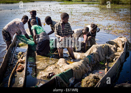 La pêche est une activité économique principale pour les familles vivant dans et autour des zones humides, de la Zambie, Bangweulu y compris pour les enfants. Banque D'Images