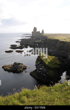 Bird rock à Londrangar sur Péninsule de Snæfellsnes dans le Nord de l'Islande Banque D'Images