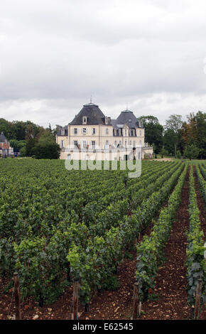 Château de Cîteaux - Meursault La cueillette Philippe Bouzereau Viticulteur.Bourgogne.Côte-d'ou 'golden' pente Bourgogne-Franche-Comté Banque D'Images