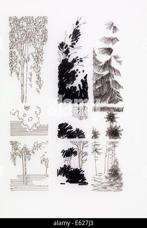 Résumé fabriqué à la main à l'encre de branches et d'arbres, vintage illustration Banque D'Images