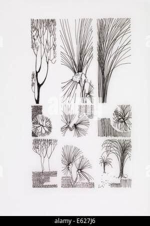 Résumé fabriqué à la main à l'encre de branches et d'arbres, vintage illustration Banque D'Images