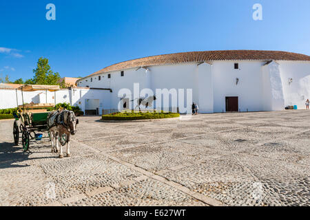 Cabine à chevaux, taureaux, Plaza Teniente Arce, Ronda, province de Malaga, Andalousie, Espagne, Europe. Banque D'Images