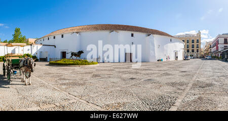 Cabine à chevaux, taureaux, Plaza Teniente Arce, Ronda, province de Malaga, Andalousie, Espagne, Europe. Banque D'Images