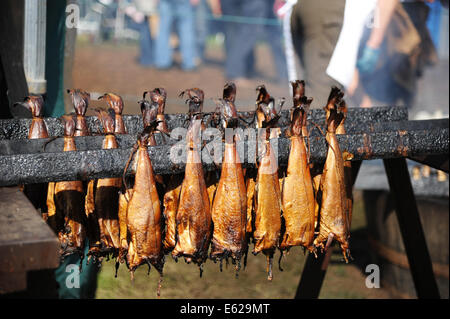 Arbroath Smokies après avoir été fumé. Banque D'Images