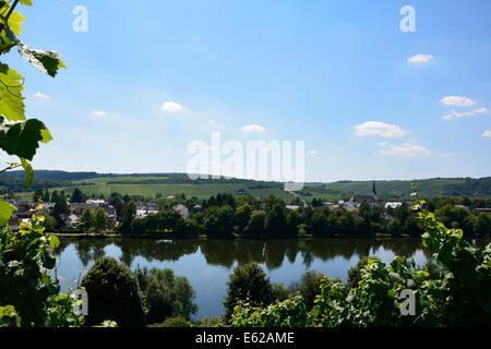 Longuich Moselle valley vignobles avec ciel bleu Mosellandschaft Moseltal Römische Weinstrasse Allemagne Mosel Fluss Banque D'Images