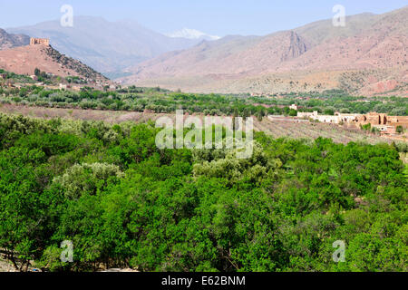 Vues d'mzouzite,ijoukak vallées,villages,barrages,homme,lacs,deep river rivière nfiss ravins,r203 south road,Maroc,taroudannt Banque D'Images