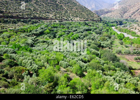 Vues d'mzouzite,ijoukak vallées,villages,barrages,homme,lacs,deep river rivière nfiss ravins,r203 south road,Maroc,taroudannt Banque D'Images