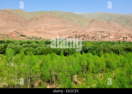 Vues d'mzouzite,ijoukak vallées,villages,barrages,homme,lacs,deep river rivière nfiss ravins,r203 south road,Maroc,taroudannt Banque D'Images