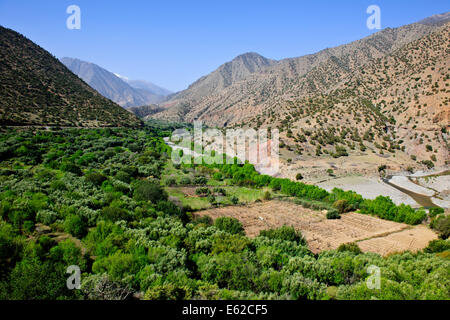 Vues d'mzouzite,ijoukak vallées,villages,barrages,homme,lacs,deep river rivière nfiss ravins,r203 south road,Maroc,taroudannt Banque D'Images