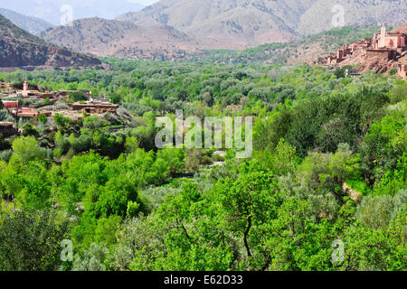 Vues d'mzouzite,ijoukak vallées,villages,barrages,homme,lacs,deep river rivière nfiss ravins,r203 south road,Maroc,taroudannt Banque D'Images