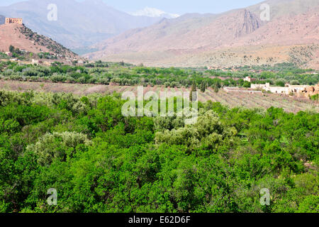 Vues d'mzouzite,ijoukak vallées,villages,barrages,homme,lacs,deep river rivière nfiss ravins,r203 south road,Maroc,taroudannt Banque D'Images