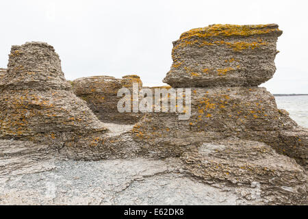 Les piles de la mer au bord de mer Banque D'Images