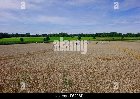 Les gens admirer un crop circle dans un champ de maïs à Rasiting, Upper Bavaria, Bavaria, Germany, Europe Banque D'Images