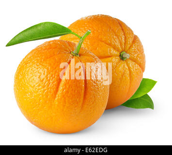 Deux oranges sur fond blanc Banque D'Images