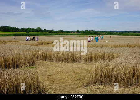 Les gens admirer un crop circle dans un champ de maïs à Rasiting, Upper Bavaria, Bavaria, Germany, Europe Banque D'Images