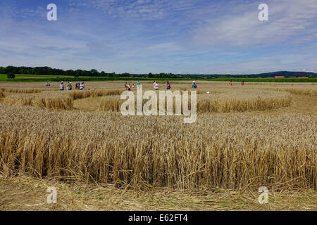 Les gens admirer un crop circle dans un champ de maïs à Rasiting, Upper Bavaria, Bavaria, Germany, Europe Banque D'Images