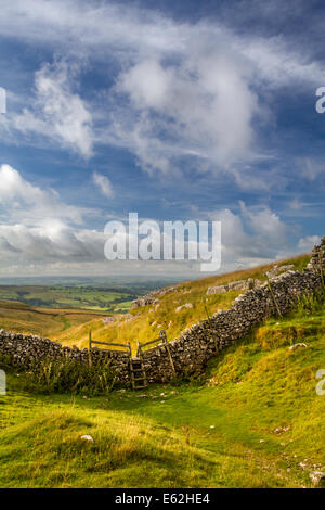 Décors : Royaume-Uni Yorkshire - paroi calcaire typique près de Malham Cove, Yorkshire Dales Banque D'Images