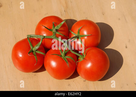 Les tomates mûries sur vigne Banque D'Images