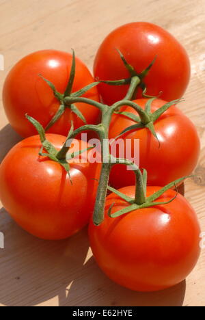 Les tomates mûries sur vigne Banque D'Images