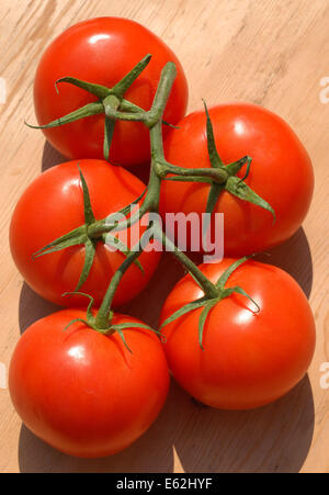 Les tomates mûries sur vigne Banque D'Images