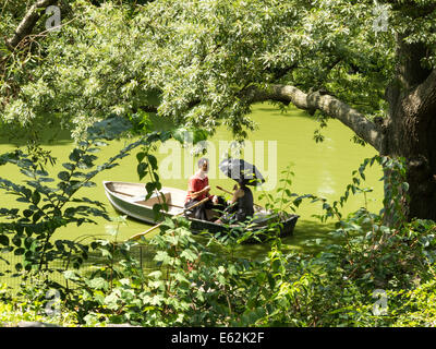 L'eau verte dans Central Park Lake est causé par d'Algues, NYC Banque D'Images