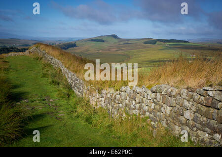 L'aube au mur d'Hadrien près de Fort romain de Housesteads l à, Northumberland, England Banque D'Images