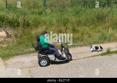 Fat Man barbe blanche scooter de mobilité plomb chien Jack Russell Terrier Banque D'Images